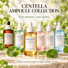 Centella Ampoule Serum  Collection